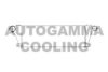 AUTOGAMMA 102396 Intercooler, charger